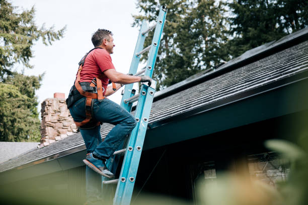 Best Steel Roofing  in Blackstone, VA